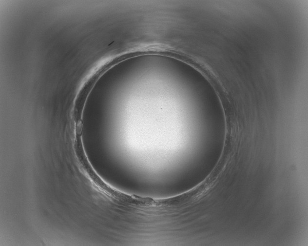 X0000078281414200611101121