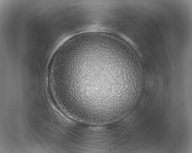 X0000078281415200611101122