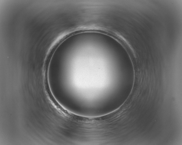 X0000078281416200611101122