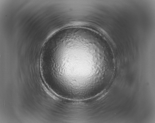 X0000078281417200611101122