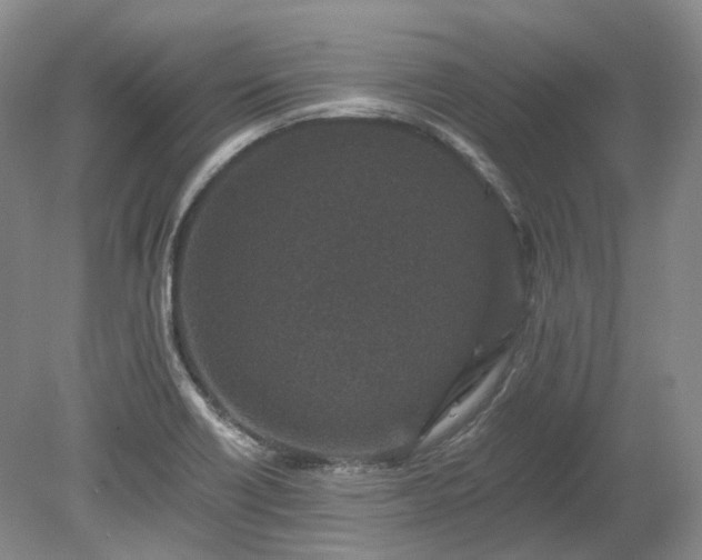 X0000078281418200611101122