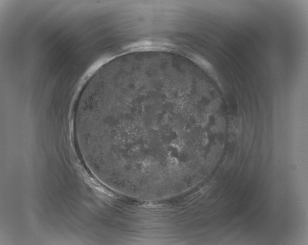 X0000078281419200611101122