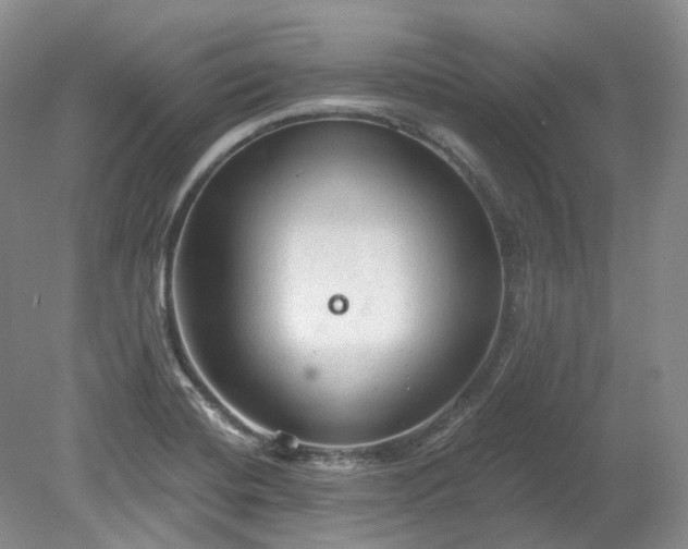 X0000078281420200611101122