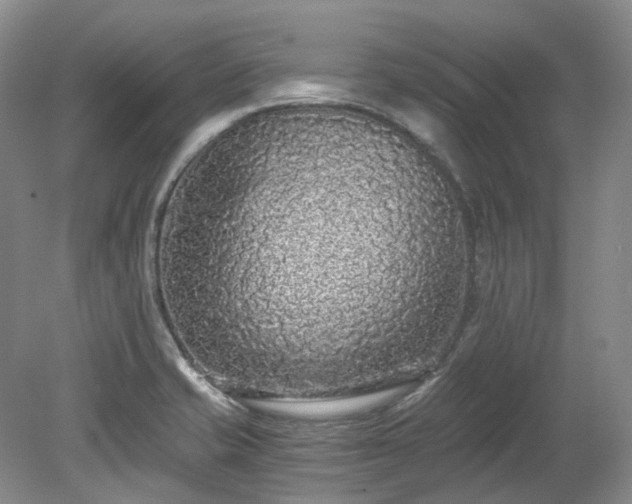 X0000078281421200611101122