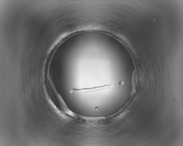 X0000078281422200611101122