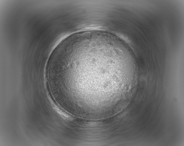 X0000078281423200611101122