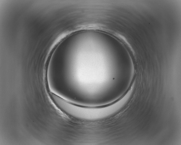 X0000078281424200611101122