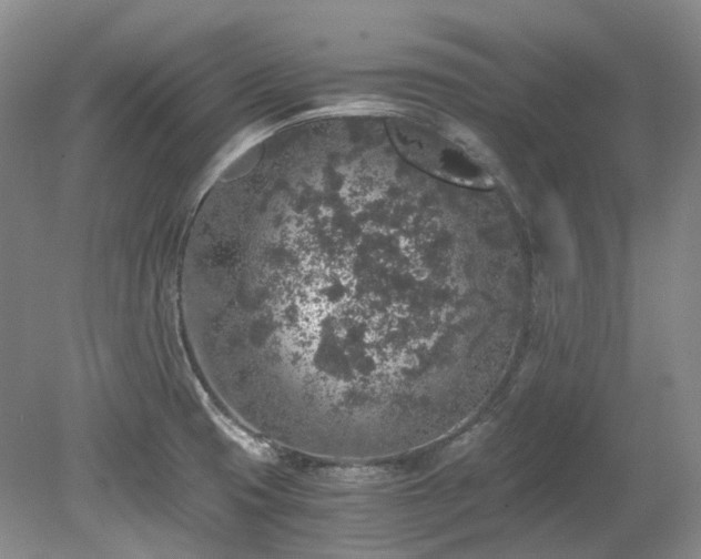 X0000078281425200611101122