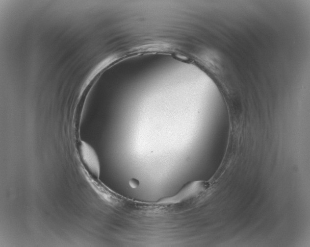 X0000078281426200611101122