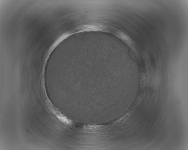 X0000078281427200611101122