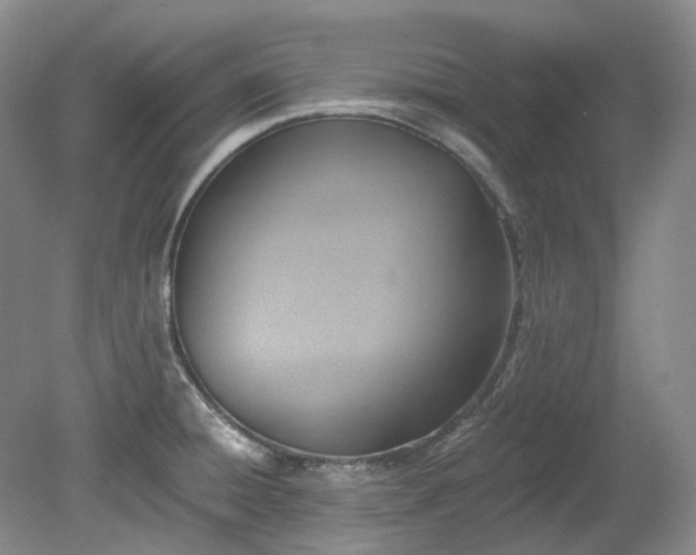 X0000078281428200611101122