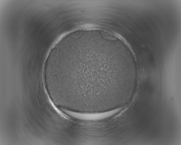 X0000078281429200611101122