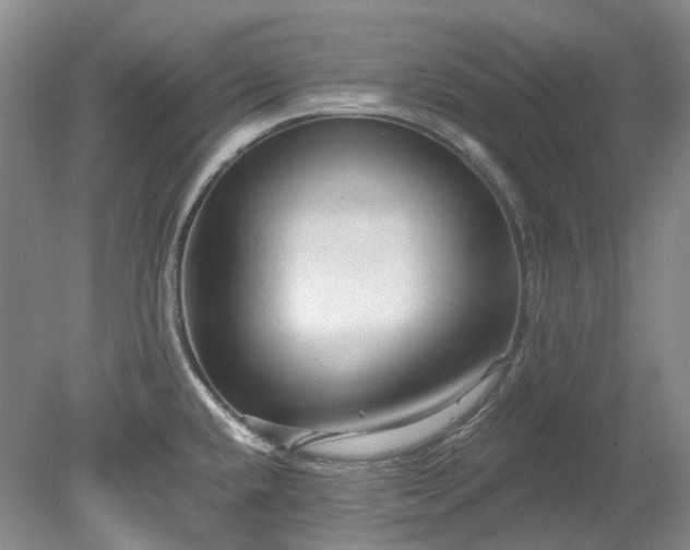 X0000078281432200611101122