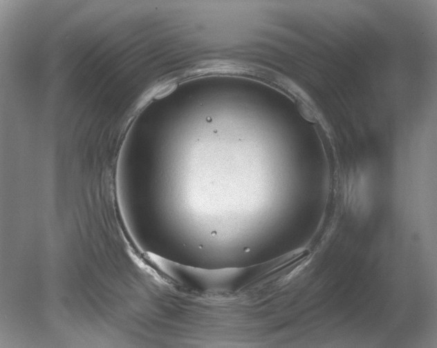 X0000078281433200611101122