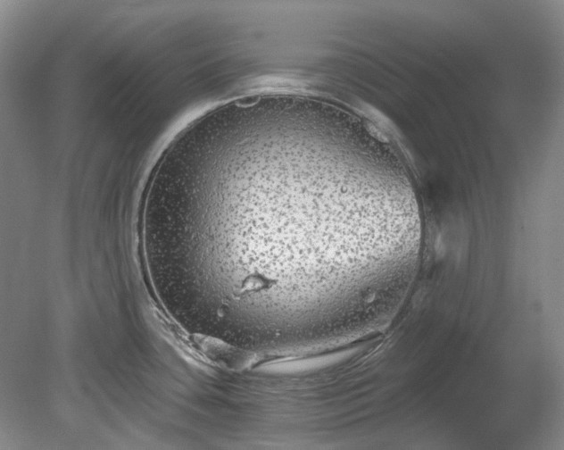 X0000078281435200611101122