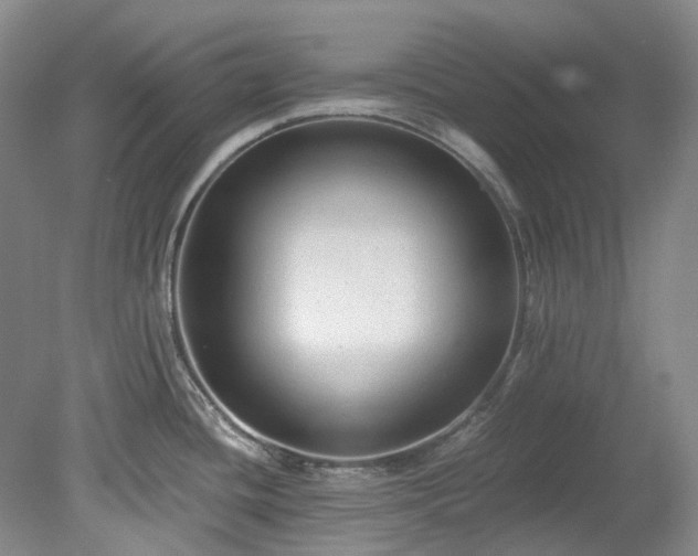 X0000078281436200611101122