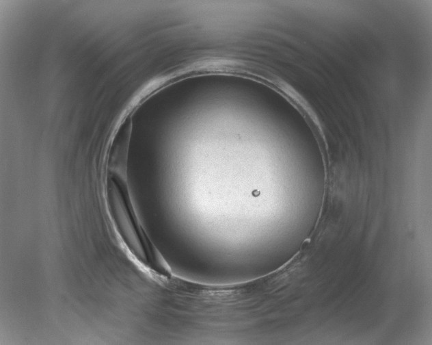 X0000078281437200611101122