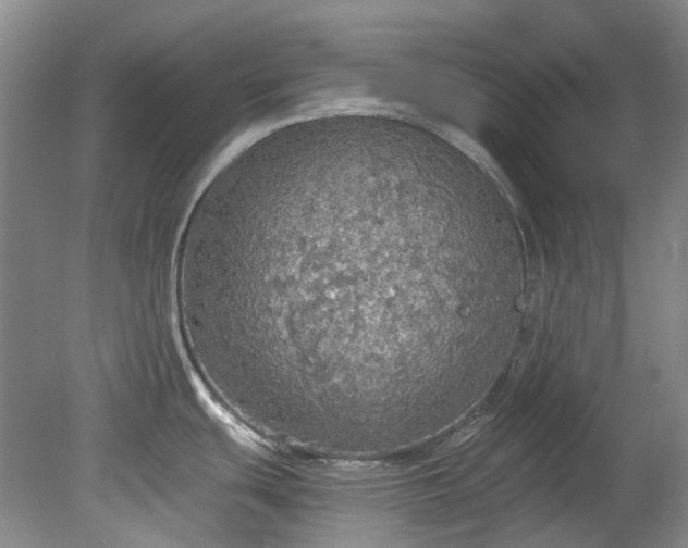 X0000078281439200611101122