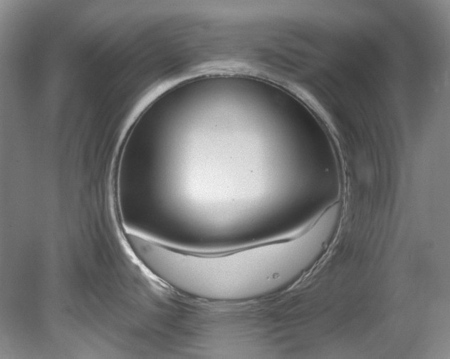 X0000078281440200611101122