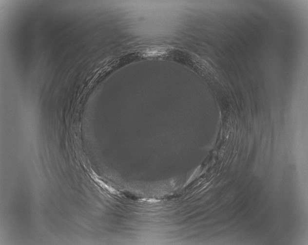 X0000078281441200611101121