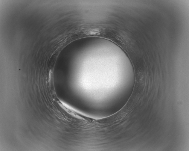 X0000078281442200611101121