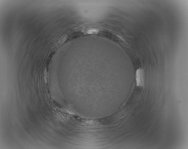 X0000078281443200611101121