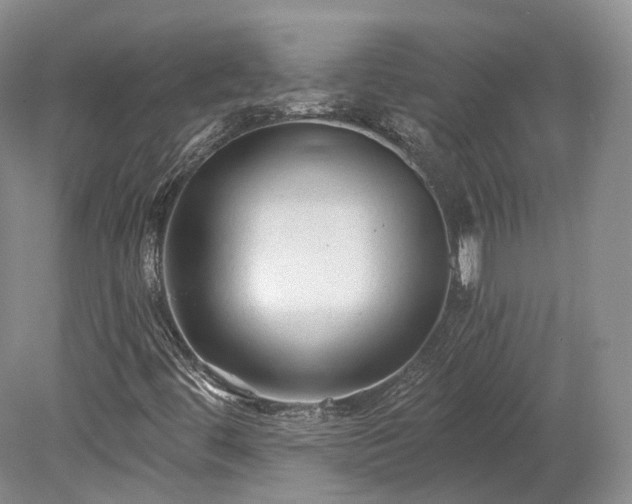 X0000078281444200611101121