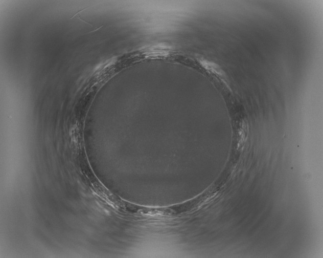 X0000078281445200611101121