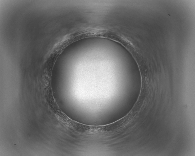 X0000078281447200611101121