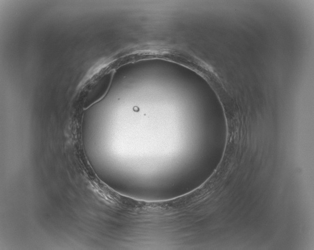 X0000078281448200611101121