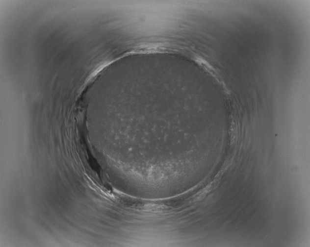 X0000078281449200611101121