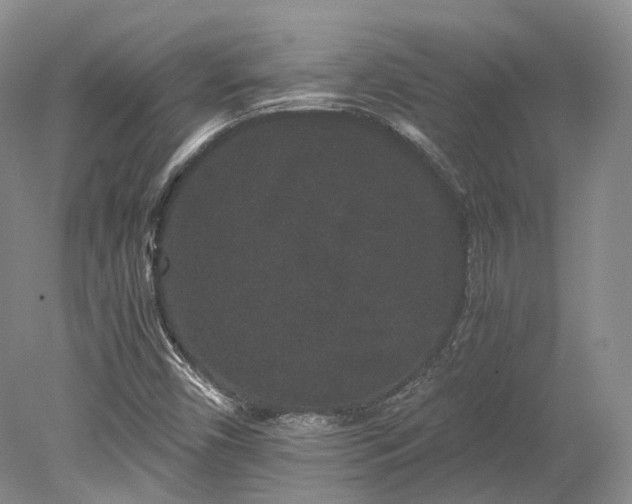 X0000078281450200611101121