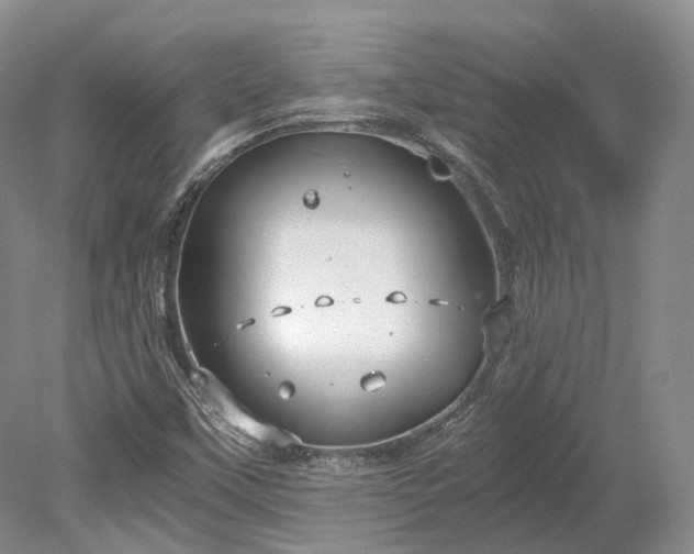 X0000078281451200611101121