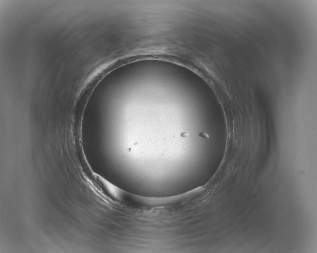 X0000078281452200611101121