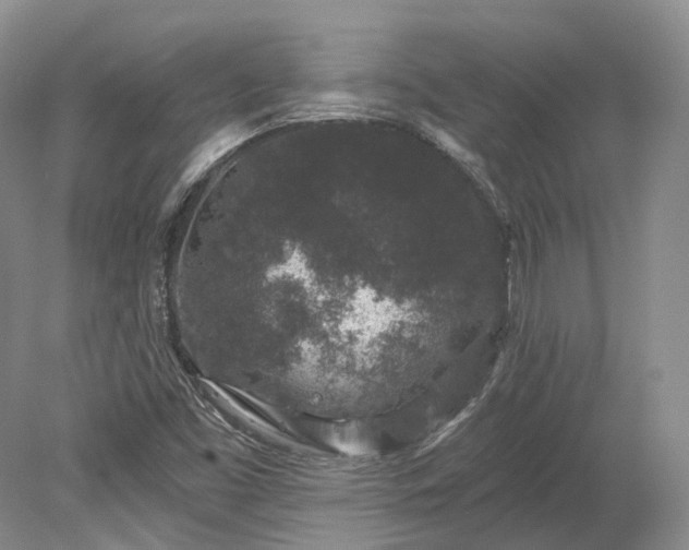 X0000078281453200611101121