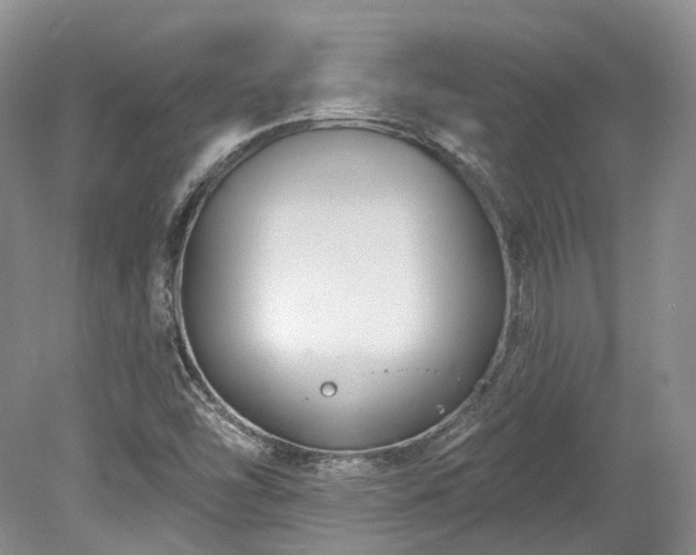 X0000078281454200611101121