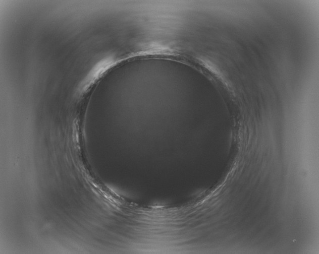 X0000078281455200611101121