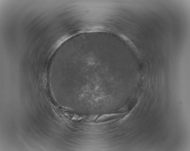 X0000078281457200611101121