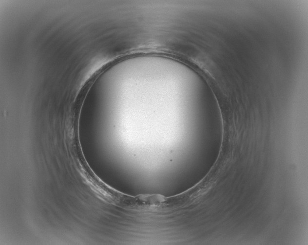 X0000078281458200611101121