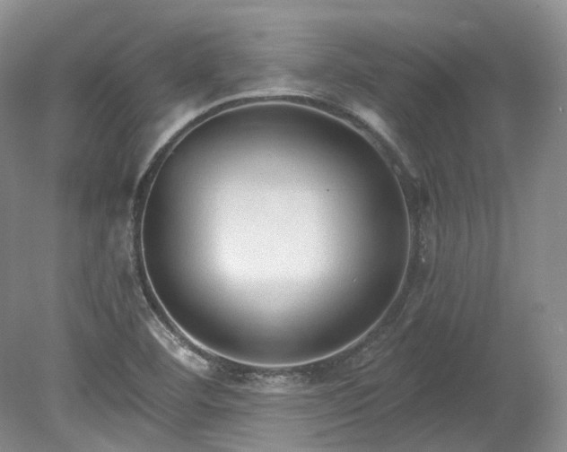 X0000078281460200611101121