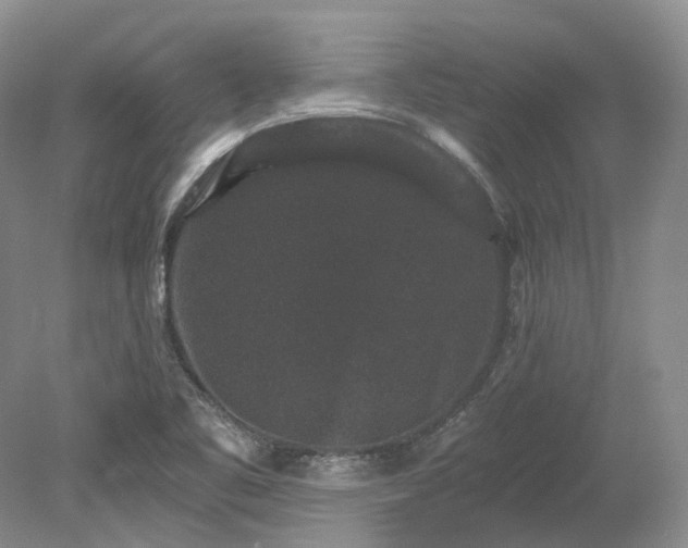 X0000078281461200611101121