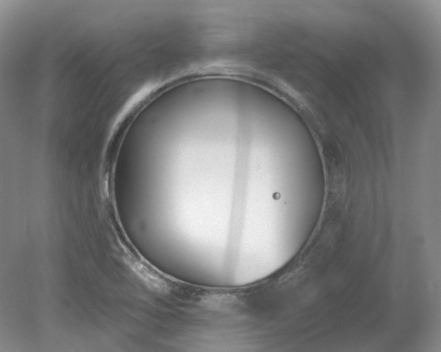 X0000078281462200611101121