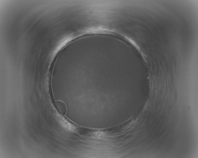 X0000078281463200611101121