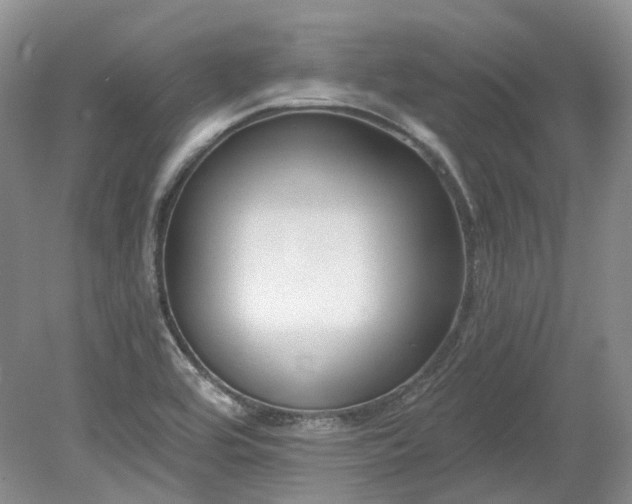 X0000078281464200611101121