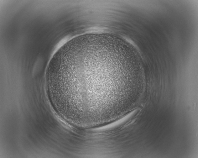 X0000078281467200611101121