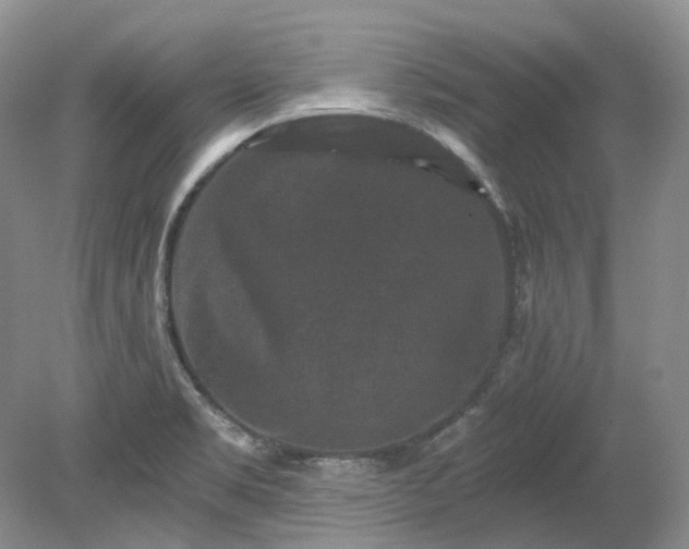 X0000078281469200611101121