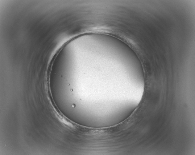 X0000078281470200611101121