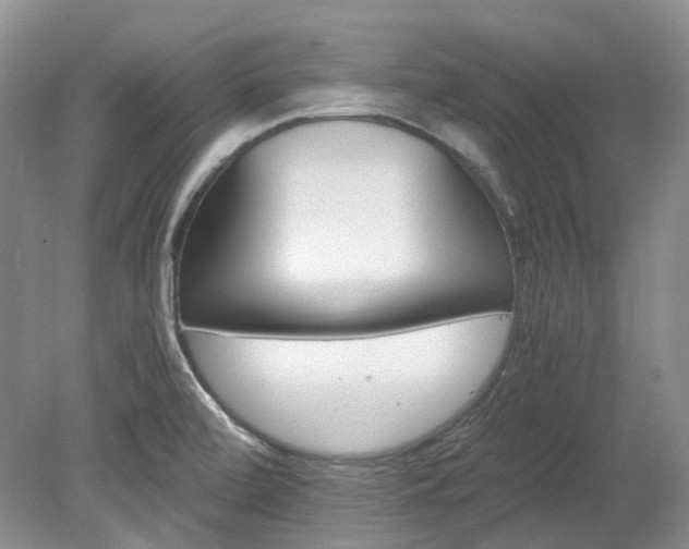 X0000078281472200611101121