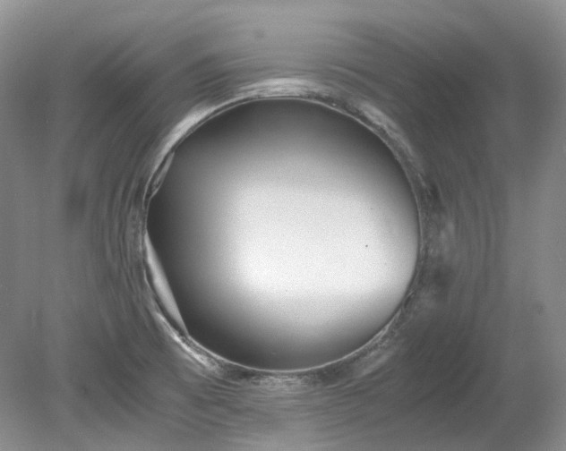 X0000078281473200611101121