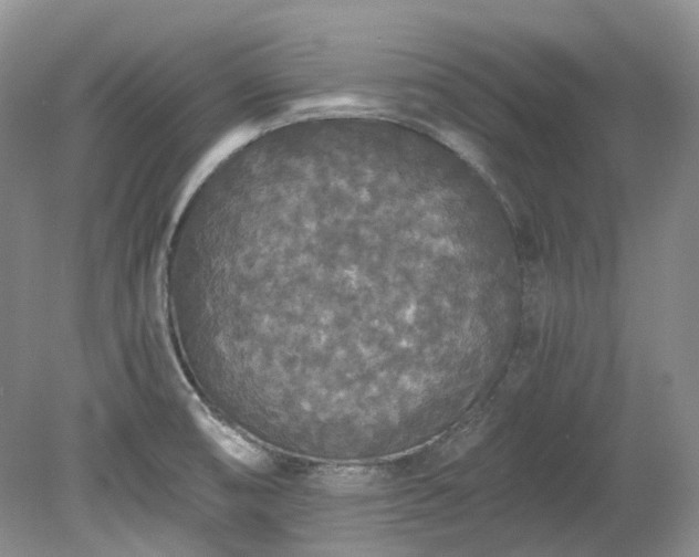 X0000078281474200611101121